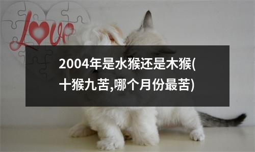 2004年是水猴还是木猴(十猴九苦,哪个月份苦)