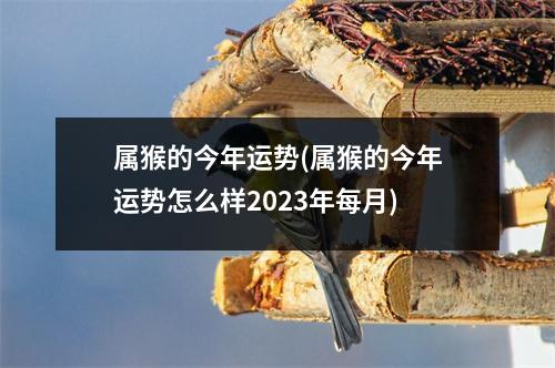 属猴的今年运势(属猴的今年运势怎么样2023年每月)