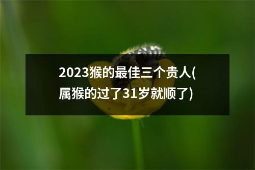 2023猴的佳三个贵人(属猴的过了31岁就顺了)