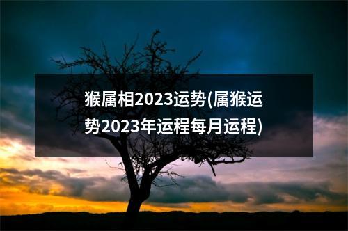 猴属相2023运势(属猴运势2023年运程每月运程)