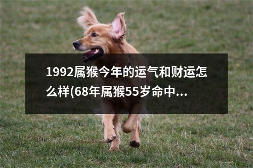 1992属猴今年的运气和财运怎么样(68年属猴55岁命中注定2023)