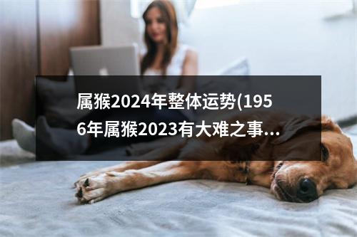 属猴2024年整体运势(1956年属猴2023有大难之事)