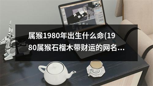 属猴1980年出生什么命(1980属猴石榴木带财运的网名)