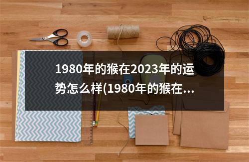 1980年的猴在2023年的运势怎么样(1980年的猴在2023年的运势怎么样男)