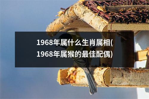 1968年属什么生肖属相(1968年属猴的佳配偶)