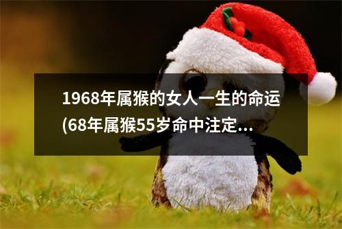 1968年属猴的女人一生的命运(68年属猴55岁命中注定2023)