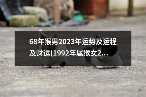 68年猴男2023年运势及运程及财运(1992年属猴女2023年的运势)