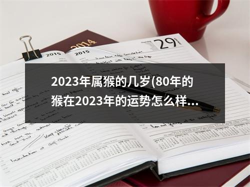 2023年属猴的几岁(80年的猴在2023年的运势怎么样)