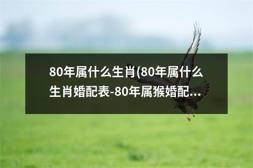 80年属什么生肖(80年属什么生肖婚配表-80年属猴婚配)