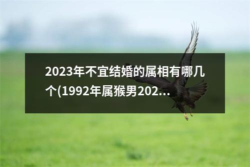 2023年不宜结婚的属相有哪几个(1992年属猴男2023年的运势和婚姻)