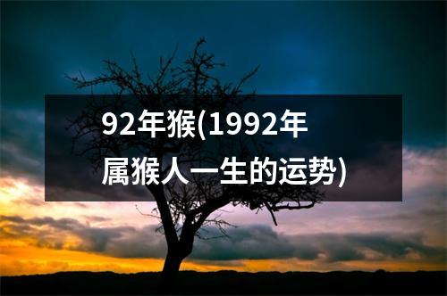 92年猴(1992年属猴人一生的运势)