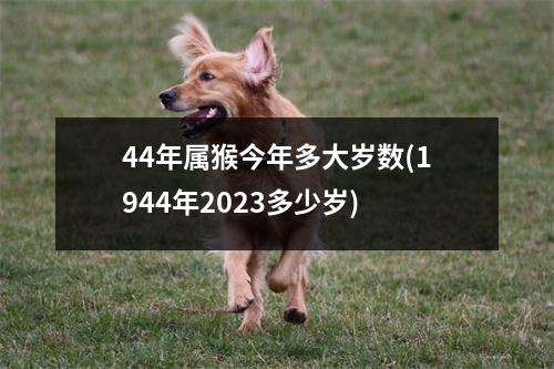 44年属猴今年多大岁数(1944年2023多少岁)