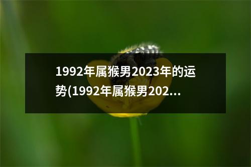 1992年属猴男2023年的运势(1992年属猴男2023年的运势及每月运程)