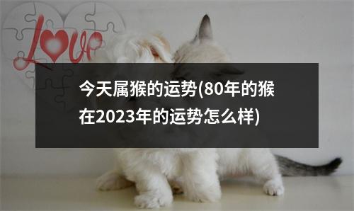 今天属猴的运势(80年的猴在2023年的运势怎么样)