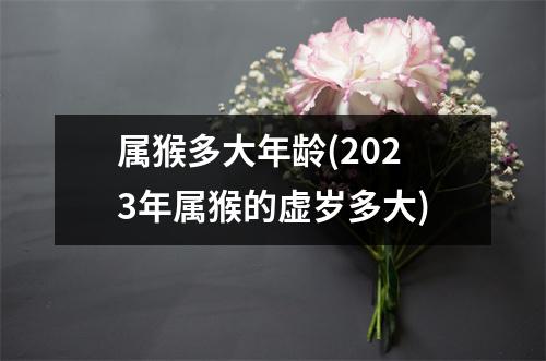 属猴多大年龄(2023年属猴的虚岁多大)