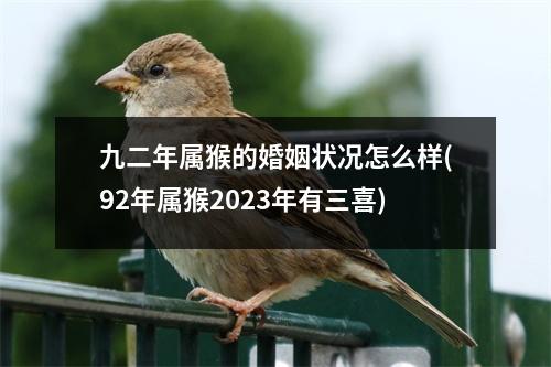 九二年属猴的婚姻状况怎么样(92年属猴2023年有三喜)