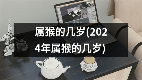 属猴的几岁(2024年属猴的几岁)