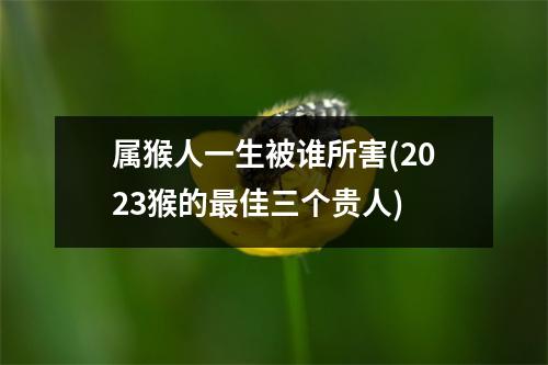 属猴人一生被谁所害(2023猴的佳三个贵人)