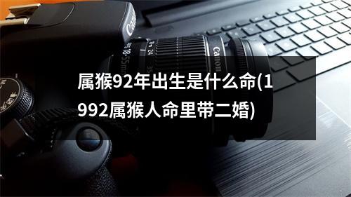 属猴92年出生是什么命(1992属猴人命里带二婚)