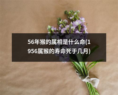 56年猴的属相是什么命(1956属猴的寿命死于几月)