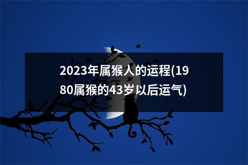 2023年属猴人的运程(1980属猴的43岁以后运气)