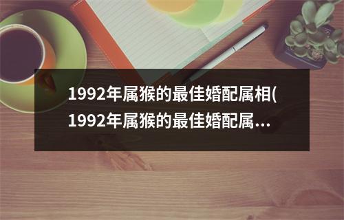 1992年属猴的佳婚配属相(1992年属猴的佳婚配属相配84年吗)