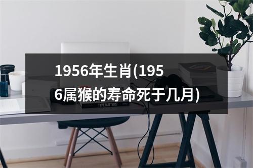 1956年生肖(1956属猴的寿命死于几月)