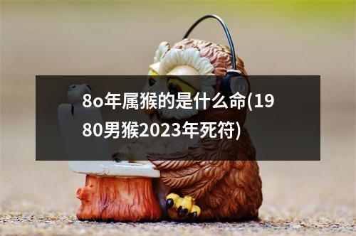 8o年属猴的是什么命(1980男猴2023年死符)