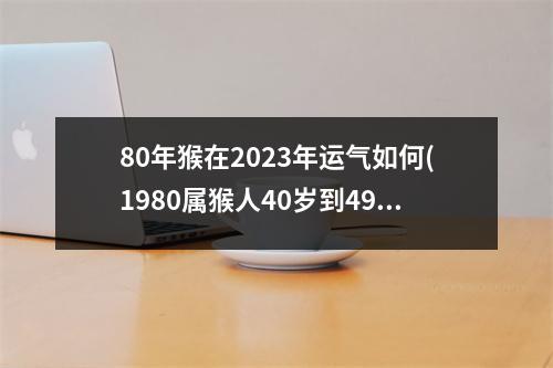 80年猴在2023年运气如何(1980属猴人40岁到49岁婚姻)