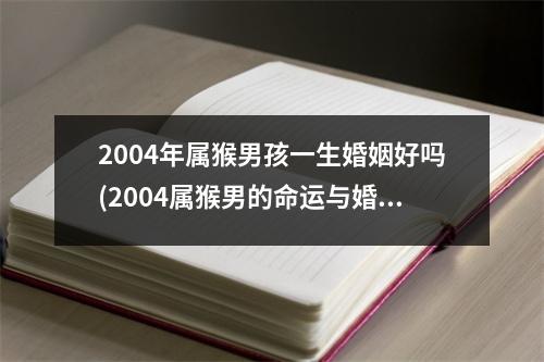 2004年属猴男孩一生婚姻好吗(2004属猴男的命运与婚姻)