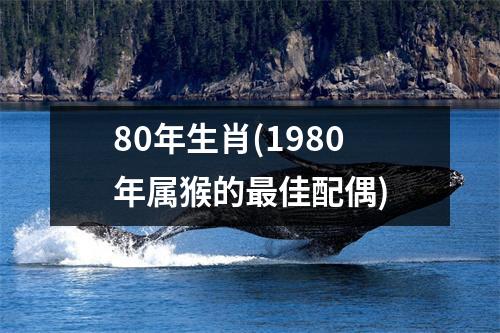 80年生肖(1980年属猴的佳配偶)