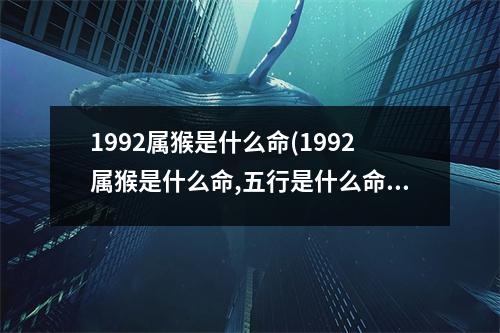 1992属猴是什么命(1992属猴是什么命,五行是什么命)