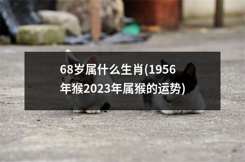 68岁属什么生肖(1956年猴2023年属猴的运势)