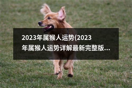 2023年属猴人运势(2023年属猴人运势详解新完整版)