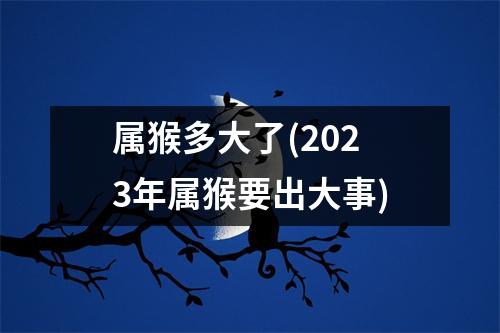 属猴多大了(2023年属猴要出大事)