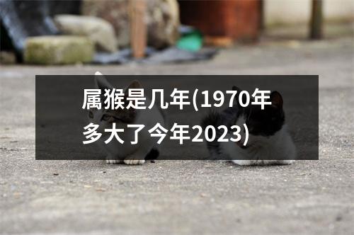 属猴是几年(1970年多大了今年2023)