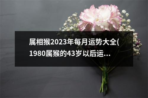 属相猴2023年每月运势大全(1980属猴的43岁以后运气)