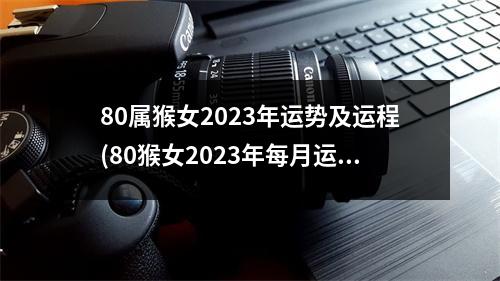 80属猴女2023年运势及运程(80猴女2023年每月运势如何)