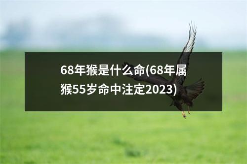 68年猴是什么命(68年属猴55岁命中注定2023)