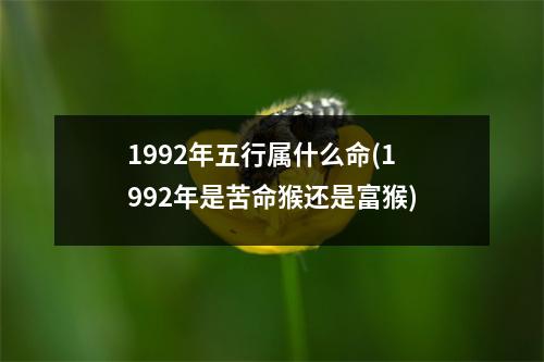 1992年五行属什么命(1992年是苦命猴还是富猴)