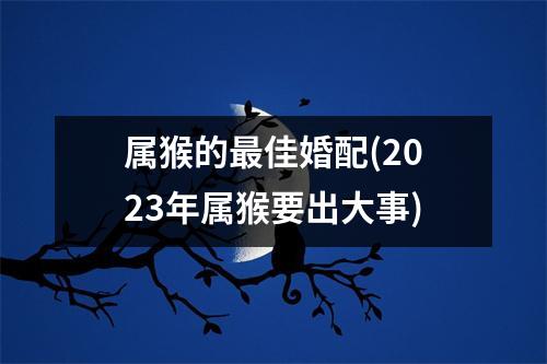 属猴的佳婚配(2023年属猴要出大事)