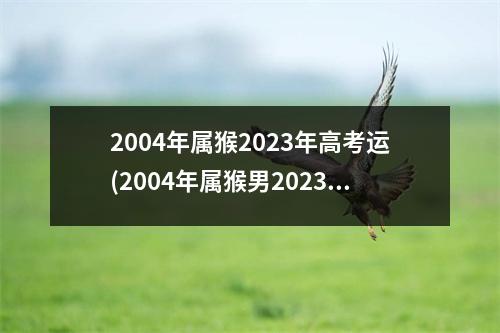 2004年属猴2023年高考运(2004年属猴男2023年的学业高考运)