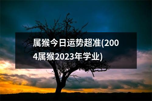 属猴今日运势超准(2004属猴2023年学业)