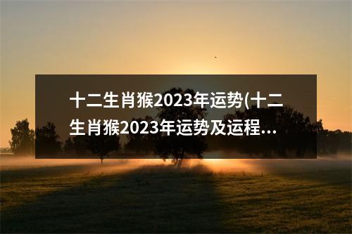 十二生肖猴2023年运势(十二生肖猴2023年运势及运程完整)