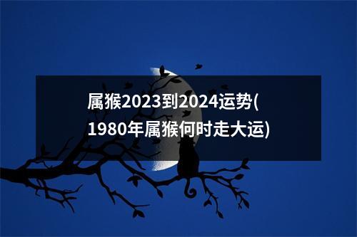 属猴2023到2024运势(1980年属猴何时走大运)