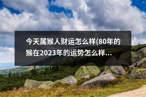 今天属猴人财运怎么样(80年的猴在2023年的运势怎么样)