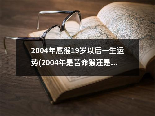 2004年属猴19岁以后一生运势(2004年是苦命猴还是富猴)