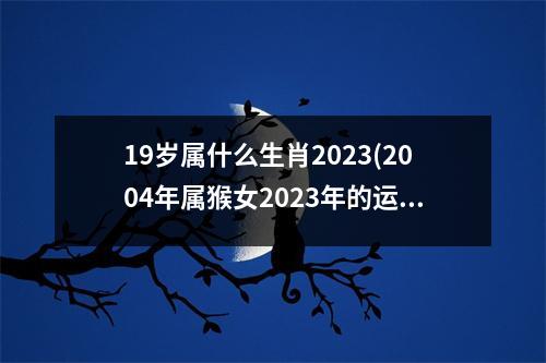 19岁属什么生肖2023(2004年属猴女2023年的运势)