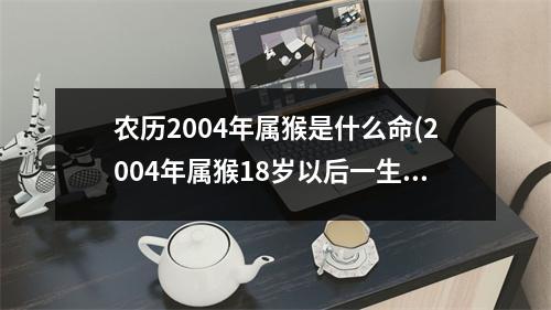 农历2004年属猴是什么命(2004年属猴18岁以后一生运势)