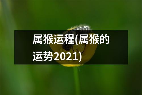 属猴运程(属猴的运势2021)